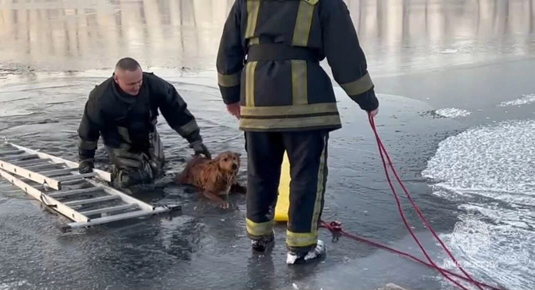 Фото МЧС Фото МЧС