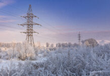 Фото предоставлено пресс-службой «Россети Сибирь»