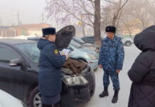 Фото предоставлено пресс-службой УФССП по РХ