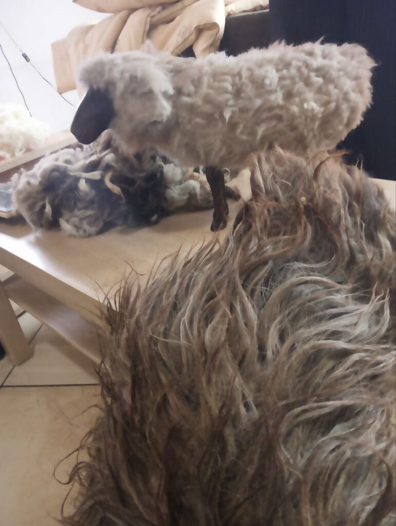 Фото: Мария Орлова