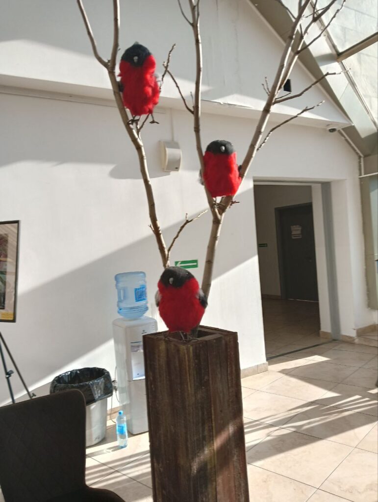 Фото: Мария Орлова