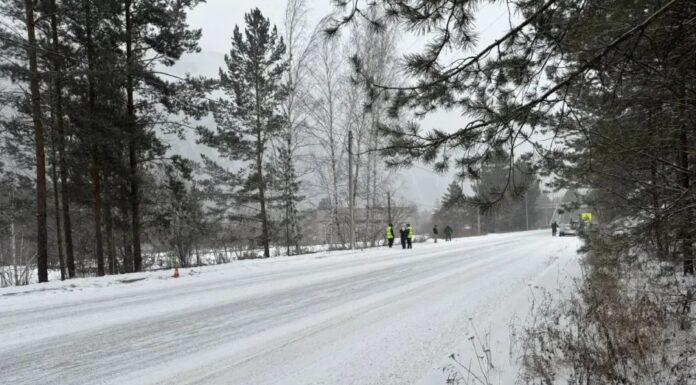 Женщина погибла в ДТП на трассе Саяногорск – Черёмушки Фото МВД