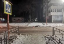 Фото Госавтоинспекции