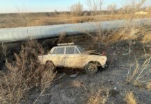 Фото Госавтоинспекции