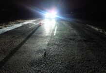 Фото Госавтоинспекции