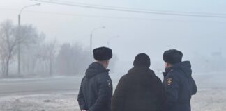 Фото Госавтоинспекции