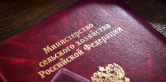 Фото предоставлено правительством РХ