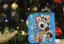 Фото предоставлено пресс-службой СУЭК