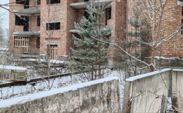 Приставы обязали собственника привести в порядок заброшенный дом в Абазе Фото предоставлено пресс-службой УФССП по РХ