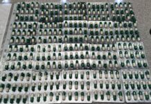 Фото предоставлено пресс-службой Красноярской таможни