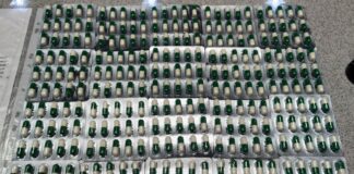 Таможенники пресекли преступный канал поставки прегабалина в Хакасию Фото предоставлено пресс-службой Красноярской таможни