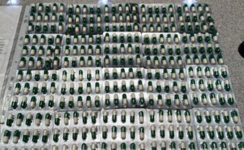 Таможенники пресекли преступный канал поставки прегабалина в Хакасию Фото предоставлено пресс-службой Красноярской таможни