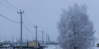 Фото предоставлено пресс-службой «Россети Сибирь»