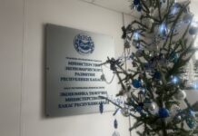 Минэкономразвития РХ. Фото: pulse19.ru