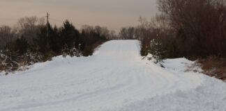 Фото: Абакан.рф