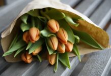 тюльпаны, цветы, 8 марта