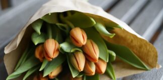 Продажа несуществующих тюльпанов: жительнице Саяногорска грозит до 5 лет тюльпаны, цветы, 8 марта