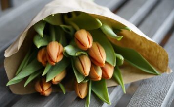 Продажа несуществующих тюльпанов: жительнице Саяногорска грозит до 5 лет тюльпаны, цветы, 8 марта