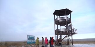 Кадр съемки Минприроды РХ