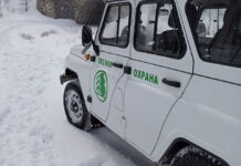 Фото из телеграм-канала Минлеса РХ