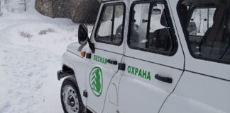 Фото из телеграм-канала Минлеса РХ