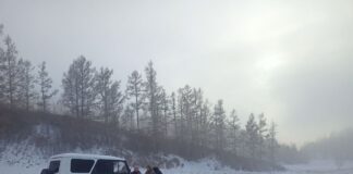 Фото из телеграм-канала Минприроды РХ