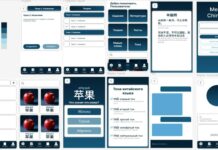 Студентка ХГУ создала карманный учебник китайского языка Фото предоставлено пресс-службой ХГУ