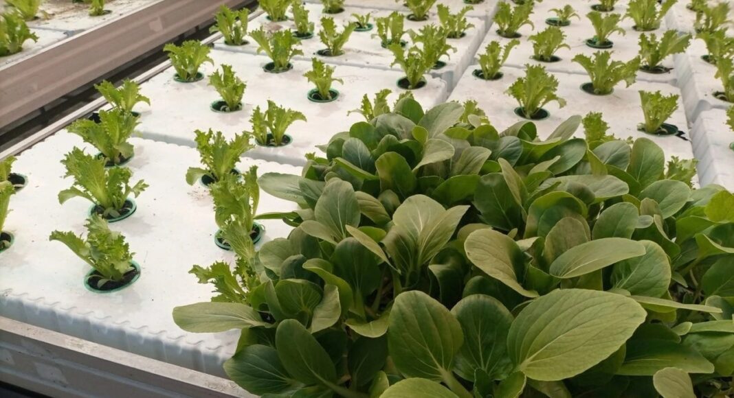 Фото предоставлено пресс-службой ХГУ