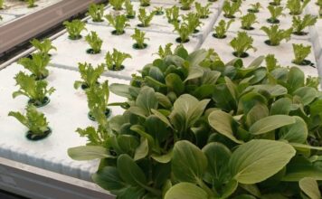 Фото предоставлено пресс-службой ХГУ