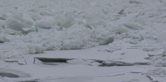 Уровень воды в Енисее продолжает расти Фото: Абакан.рф