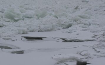 Уровень воды в Енисее продолжает расти Фото: Абакан.рф