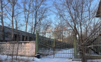 ИСКОЖ. Фото pulse19.ru