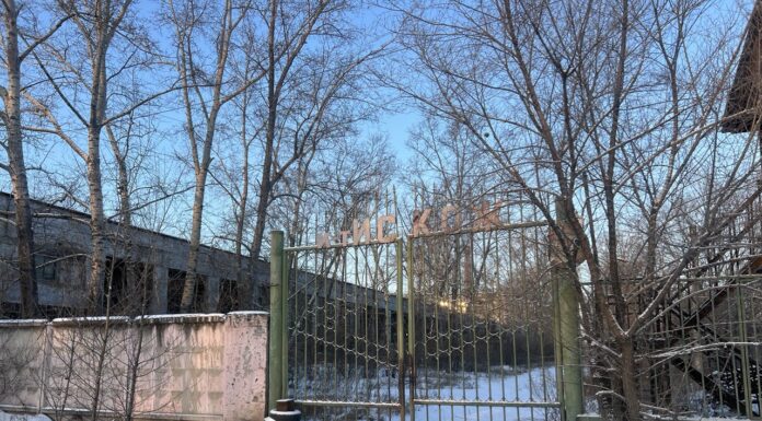 ИСКОЖ. Фото pulse19.ru