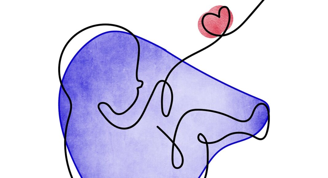 Материнство. Материнский капитал. беременность