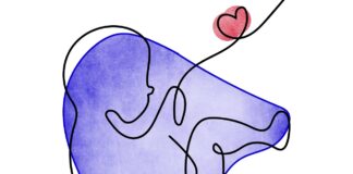 Материнство. Материнский капитал. беременность