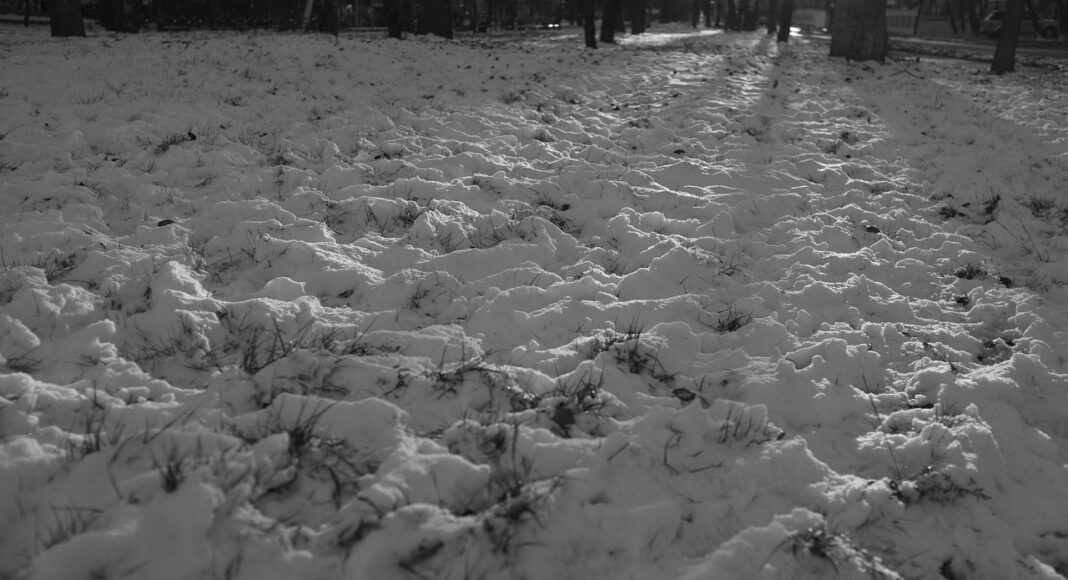 Изображение из фотобанка снег, мало снега, проталины