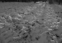 снег, мало снега, проталины