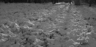 снег, мало снега, проталины