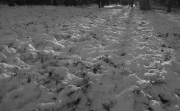 снег, мало снега, проталины