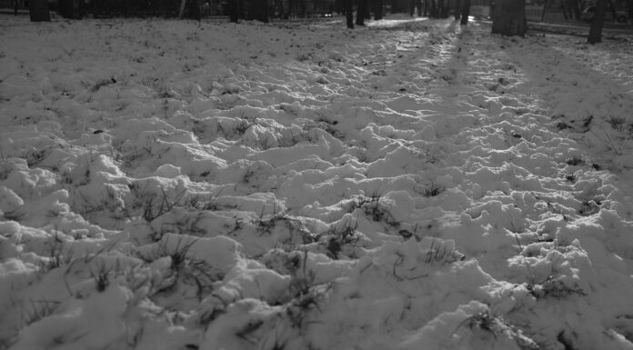 снег, мало снега, проталины