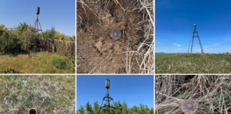 Фото из телеграм-канала Росреестра РХ