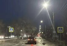 Фото Госавтоинспекции