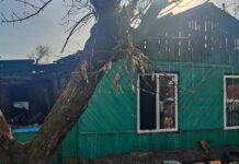 Шесть пожаров потушили в Хакасии за сутки Фото МЧС