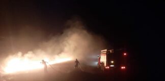 Первый степной пожар потушили в Хакасии Фото МЧС