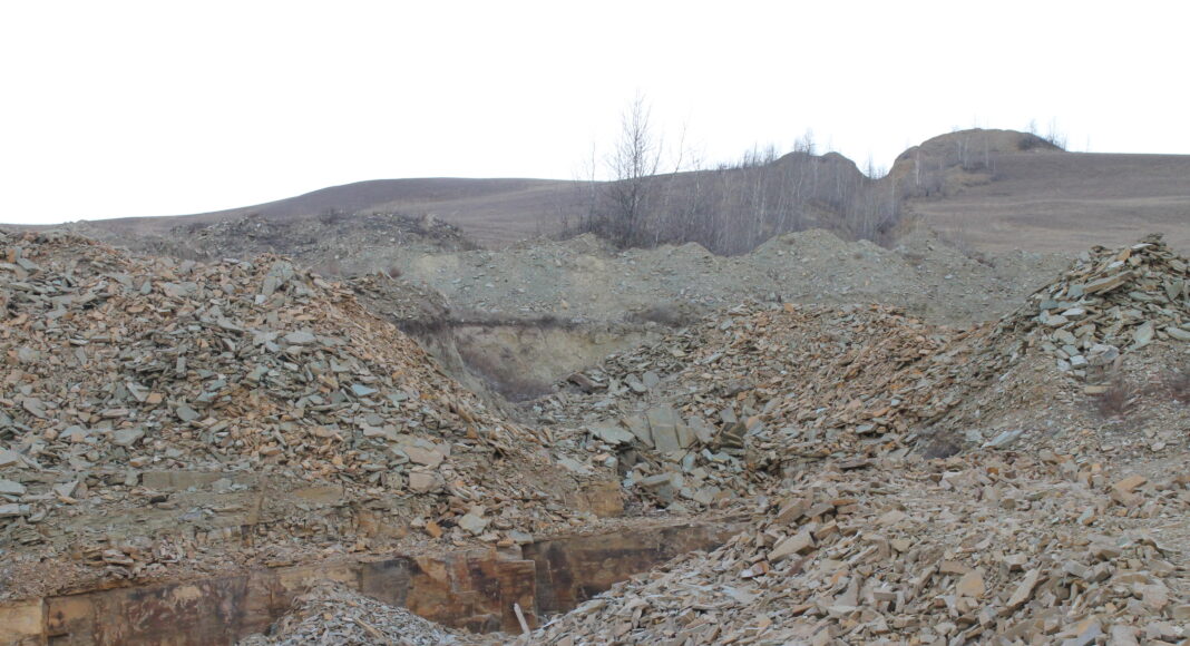 Фото предоставлено пресс-службой Россельхознадзора РХ