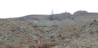 Фото предоставлено пресс-службой Россельхознадзора РХ