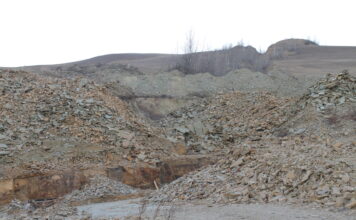 Фото предоставлено пресс-службой Россельхознадзора РХ