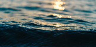 Озеро Шира включили в топ-20 самых доступных курортов России вода, озеро