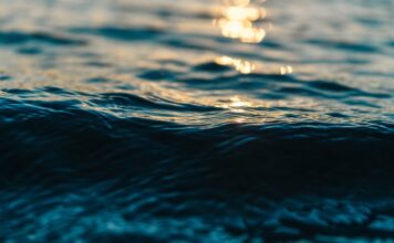 Озеро Шира включили в топ-20 самых доступных курортов России вода, озеро