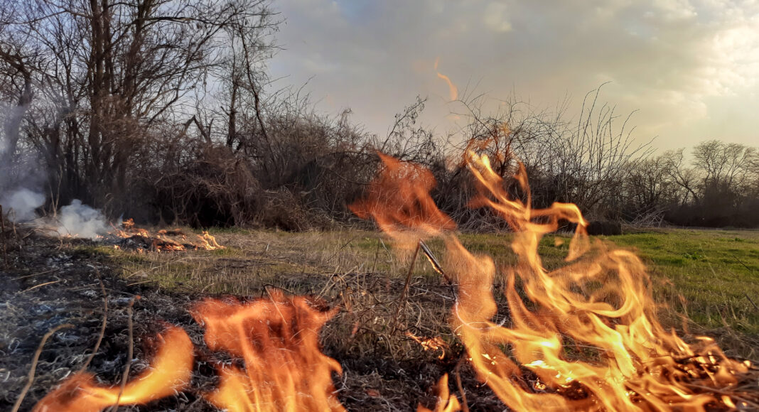 Ландшафтный (природный) пожар. Фото СМИ Пульс Хакасии огонь, пожар, ландшафтный пожар, природный пожар, горит поле, горит трава, пожары